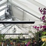 Uplift blinds for a orchid conservatory